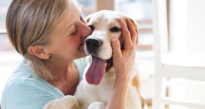 Study shows benefits of therapy dogs for fibromyalgia